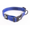 Dog collar - nylon Color Vibe blue - 2,5 x 45 > 65 cm