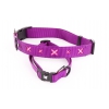 Collier pour chien - croix rose
