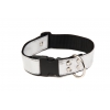 Dog collar - White Disco - L - W40mm L40 to 64cm