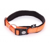 Collier réglable pour chien - Néo Orange - Longeur 40 à 45cm - largeur 20mm
