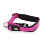 Collier réglable pour chien - Néo Rose - Longeur 30 à 35cm - largeur 15mm
