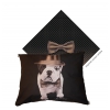 Coussin pour chien et chat - Téo Dandy pour chien