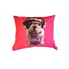 Coussin pour chien et chat - Téo Groovy pour chien