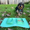 Gamelle double pliable silicone pour chien et chat - vert ok