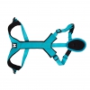 Harnais Canicross Basic - Bleu - Taille L