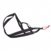 Harnais Canicross Xback - Taille M