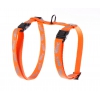 Harnness for cat - Fluo Fish - orange