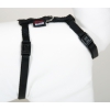 Cat harness - Plain Fabric - noir