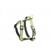 Harnais pour chien - Salamandre vert