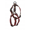Harnais pour chien - Scotland beige