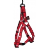 Red harness - Mon Marcel pour chien - W40mm L90 to 110cm
