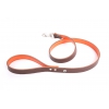 Laisse cuir Allure en cuir Marron/Orange - L.100 x l.1,9 cm
