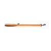 Laisse double épaisseur pour chien en nylon orange - larg 25mm Long 60cm