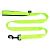 Lead double thickness for dog green nylon - W40mm L 120cm