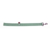 Laisse double épaisseur pour chien en nylon vert - larg 40mm Long 60cm