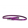 Laisse nylon Disco violet -  x 100 cm