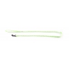 Laisse pour chat - Fluo Fish - vert