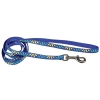 Cat nylon lead - blue Delight