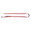 Dog nylon lead - dots range - red - 1 x 100 cm