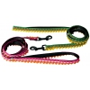 Laisse pour chien - Dancing Queen vert