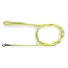 Laisse pour chien - nylon rond vert - 2 m