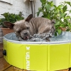 Piscine pour chien Martin Pool - Vert 4