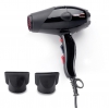 Promex Zefix professional compact dryer