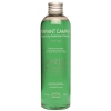 Shampooing pour chien et chat - Purifiant Camphre - Anju Beauté - 250ml