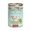 Terra Canis Grain Free 6x - Boeuf - 400g