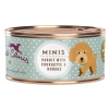 Terra Canis Mini Grain Free 100g x18 - Lapin